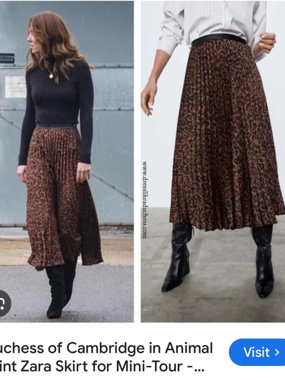 Zara Brown Leopard-Print Pleated Midi Skirt